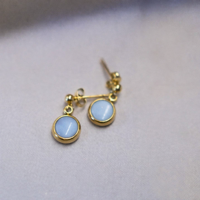 Everyday Gold Plated Stainless Steel Stud Drop Earrings